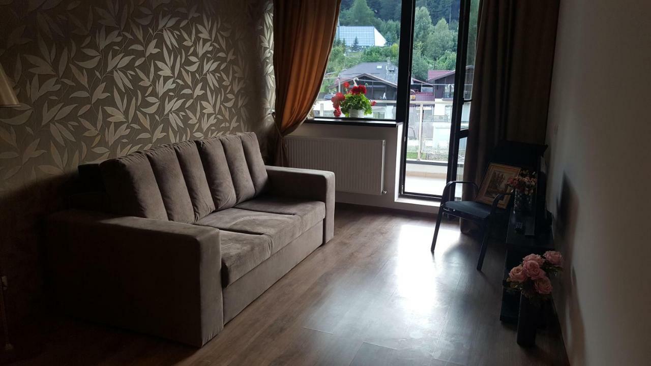 Ripsime Colina Marei Apartment Sinaia Bagian luar foto