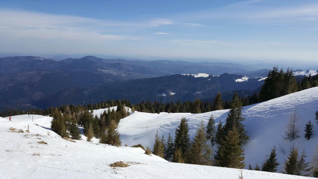 Ripsime Colina Marei Apartment Sinaia Bagian luar foto