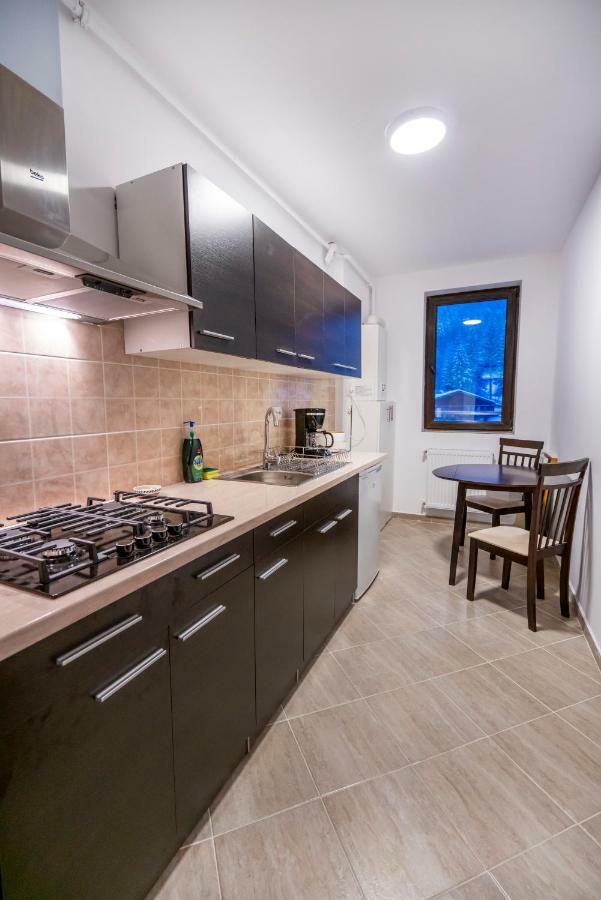Ripsime Colina Marei Apartment Sinaia Bagian luar foto