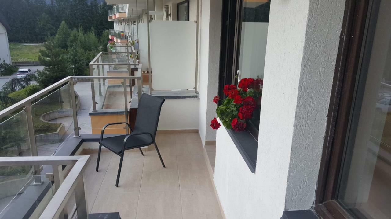 Ripsime Colina Marei Apartment Sinaia Bagian luar foto